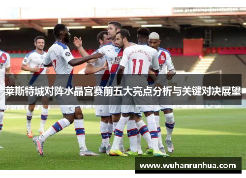 莱斯特城对阵水晶宫赛前五大亮点分析与关键对决展望
