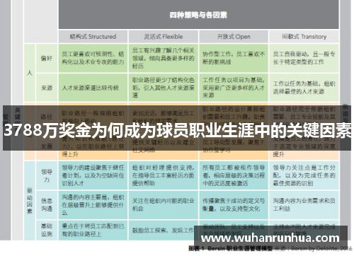 3788万奖金为何成为球员职业生涯中的关键因素